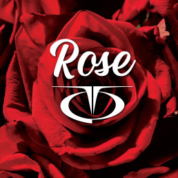 TQ Rose